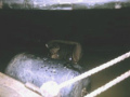 b40hole