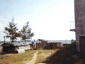 cg11-2