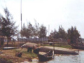 cg11-3