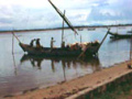 cg11_anchor