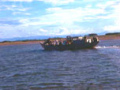 cg11_junk