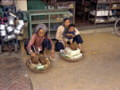 herbs-hatien