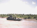pcf3bode